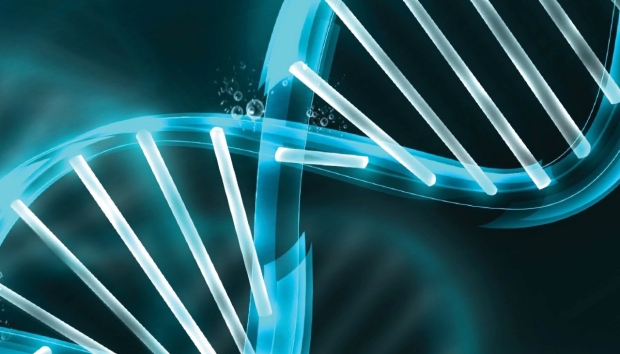 illustration of DNA